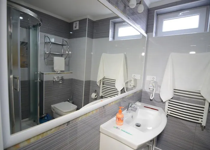 Salve Hotel Vynohradiv