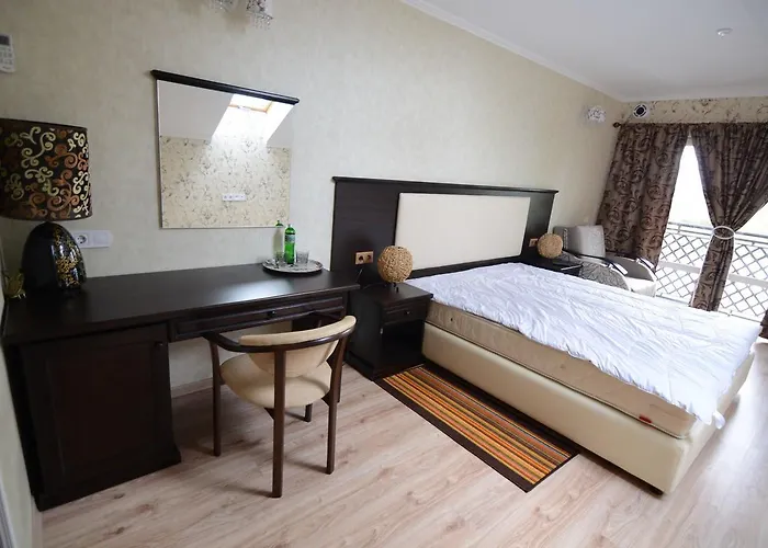 Hotel Salve Vynohradiv