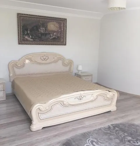Hotel Salve Vynohradiv