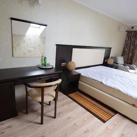 Hotel Salve Vynohradiv